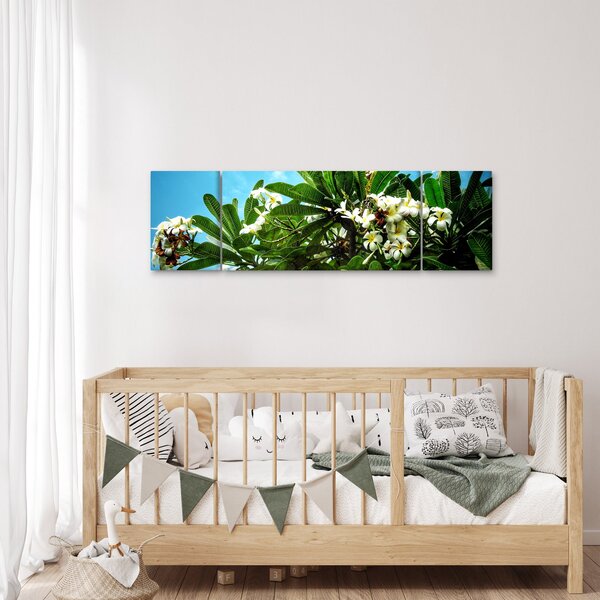 Obraz - Plumeria (170x50 cm)
