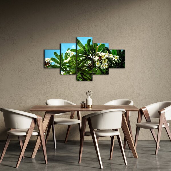 Obraz - Plumeria (125x70 cm)