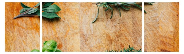 Obraz - Zioła (170x50 cm)