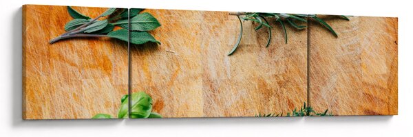 Obraz - Zioła (170x50 cm)