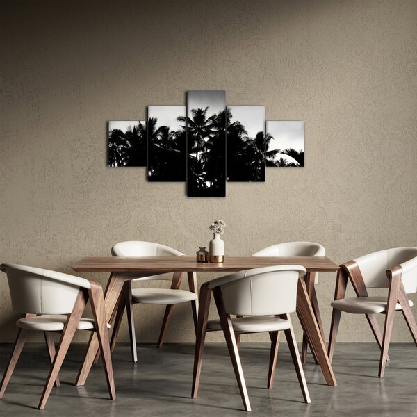 Obraz czarno - biały - palmy (125x70 cm)