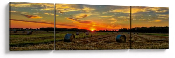 Obraz - Wiejskie bale (170x50 cm)