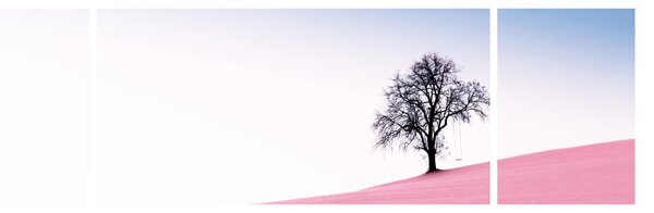 Obraz - Różowy sen (170x50 cm)