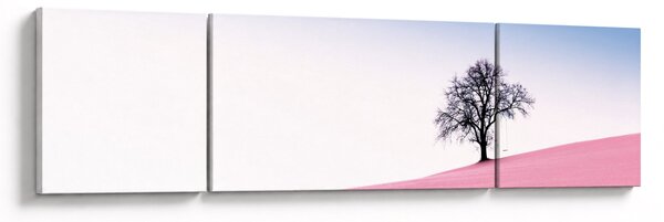 Obraz - Różowy sen (170x50 cm)