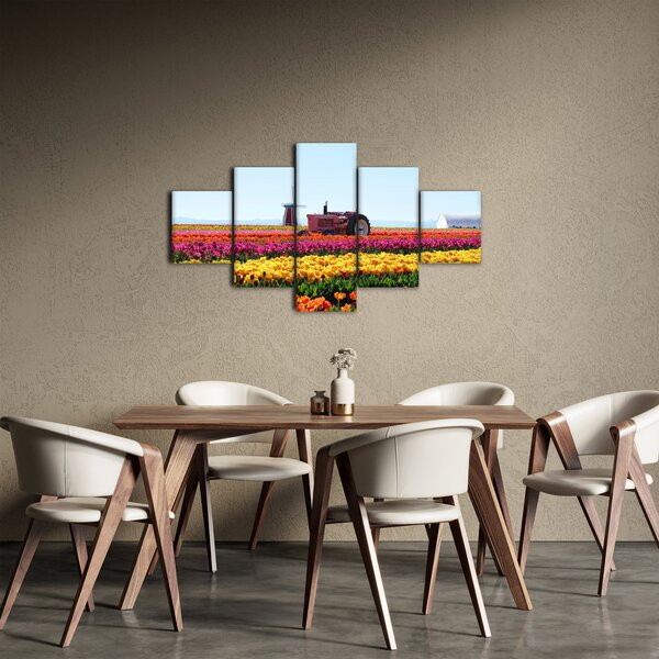 Obraz farmy tulipanów (125x70 cm)