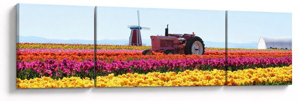 Obraz farmy tulipanów (170x50 cm)