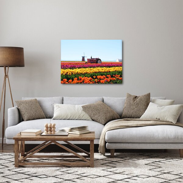Obraz farmy tulipanów (70x50 cm)
