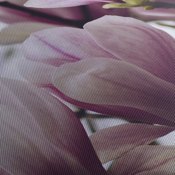 Obraz - Magnolia (170x50 cm)