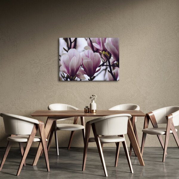Obraz - Magnolia (70x50 cm)