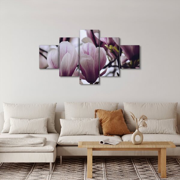 Obraz - Magnolia (125x70 cm)