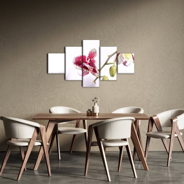 Obraz kwiatu orchidei (125x70 cm)