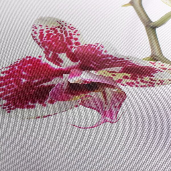 Obraz kwiatu orchidei (170x50 cm)