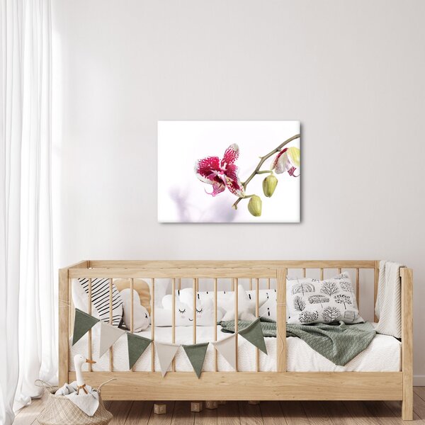 Obraz kwiatu orchidei (70x50 cm)