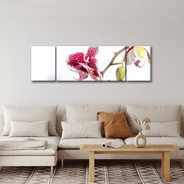 Obraz kwiatu orchidei (170x50 cm)