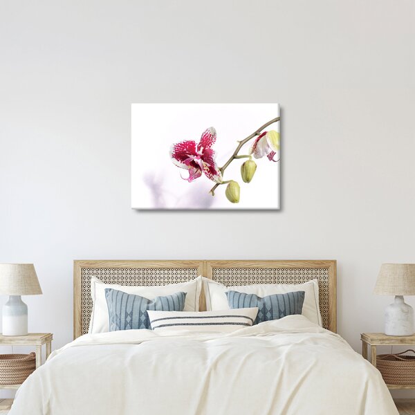 Obraz kwiatu orchidei (70x50 cm)
