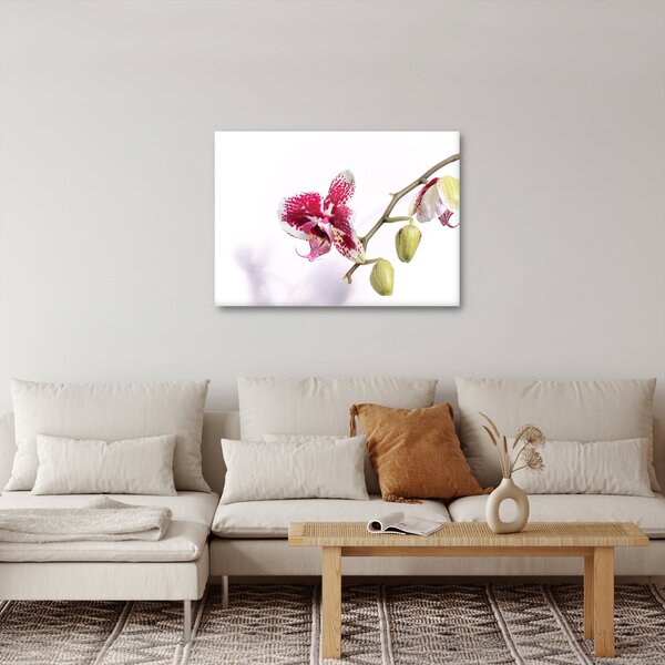 Obraz kwiatu orchidei (70x50 cm)