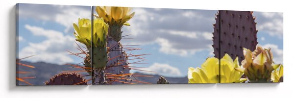 Obraz opuncji (170x50 cm)
