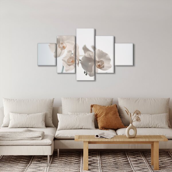 Obraz białej orchidei (125x70 cm)