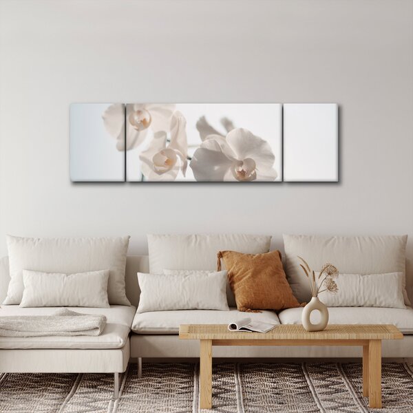 Obraz białej orchidei (170x50 cm)
