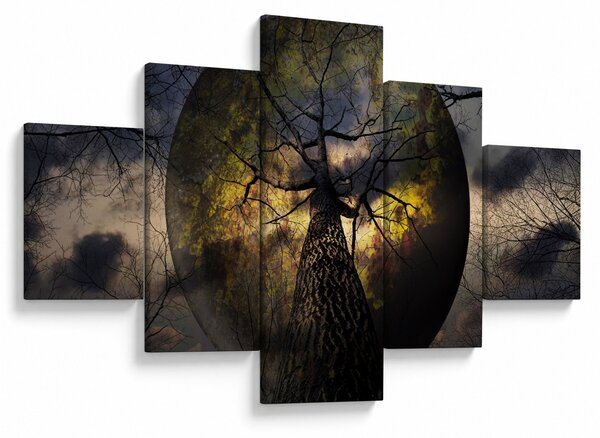 Obraz - Tajemnicze niebo (125x70 cm)