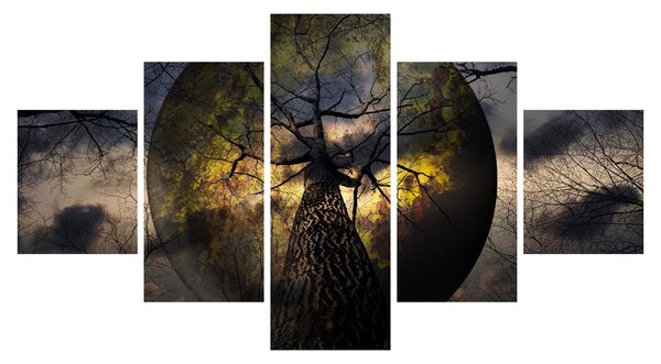 Obraz - Tajemnicze niebo (125x70 cm)