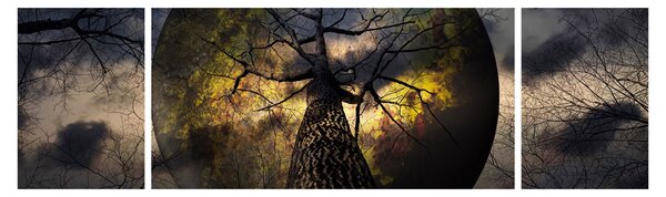 Obraz - Tajemnicze niebo (170x50 cm)