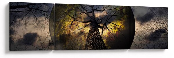 Obraz - Tajemnicze niebo (170x50 cm)