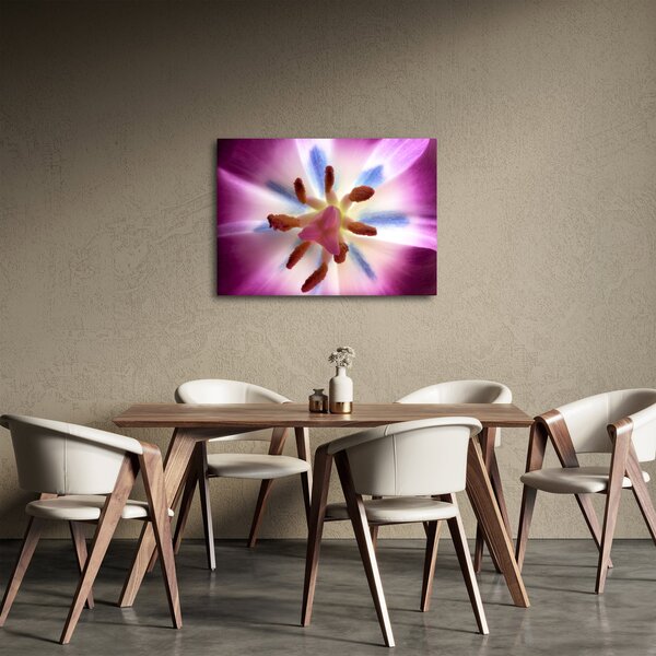 Obraz - Kwiat tulipana w szczegółach (70x50 cm)