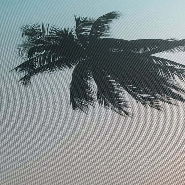 Obraz - Palma na Bali (125x70 cm)