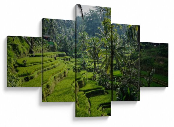 Obraz tarasów ryżowych Tegalalang, Bali (125x70 cm)