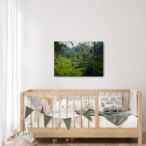 Obraz tarasów ryżowych Tegalalang, Bali (70x50 cm)