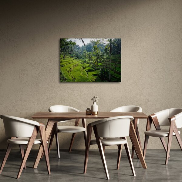 Obraz tarasów ryżowych Tegalalang, Bali (70x50 cm)