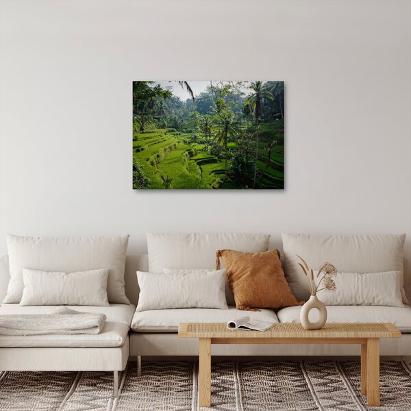 Obraz tarasów ryżowych Tegalalang, Bali (70x50 cm)