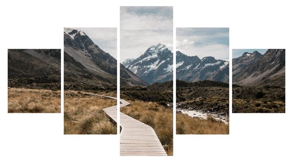 Obraz - Chodnik w dolinie góry Mt. Cook (125x70 cm)