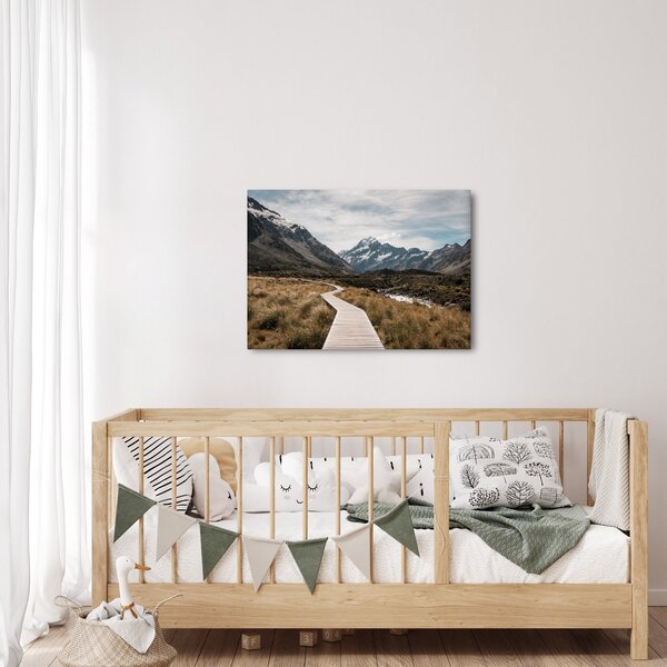 Obraz - Chodnik w dolinie góry Mt. Cook (70x50 cm)
