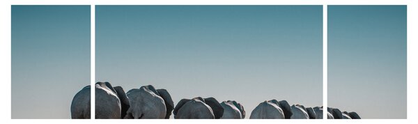 Obraz - Odejście słoni (170x50 cm)