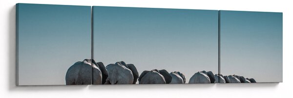 Obraz - Odejście słoni (170x50 cm)
