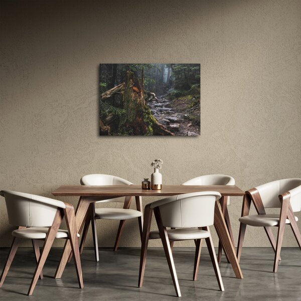 Obraz - W lesie (70x50 cm)