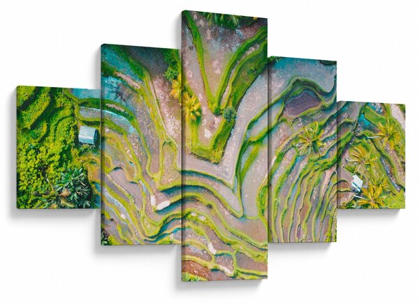 Obraz pól ryżowych z lotu ptaka (125x70 cm)