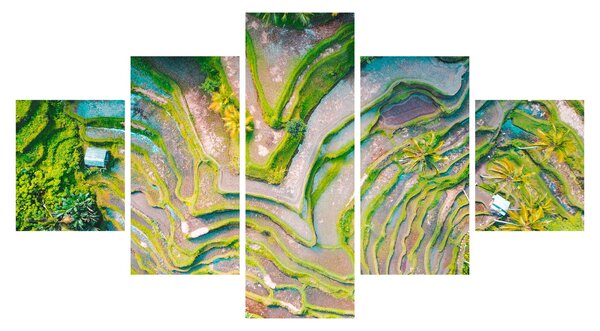 Obraz pól ryżowych z lotu ptaka (125x70 cm)