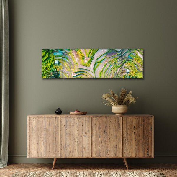 Obraz pól ryżowych z lotu ptaka (170x50 cm)