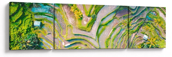 Obraz pól ryżowych z lotu ptaka (170x50 cm)
