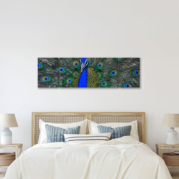 Obraz - Paw (170x50 cm)