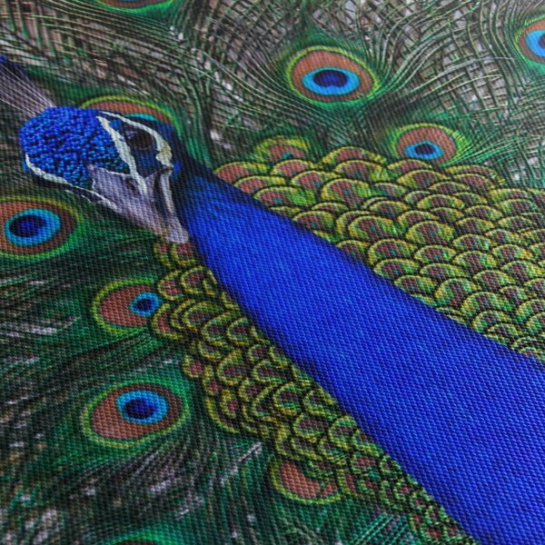 Obraz - Paw (170x50 cm)
