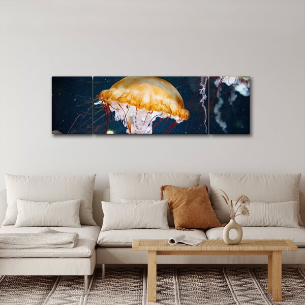 Obraz meduzy (170x50 cm)