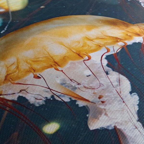 Obraz meduzy (125x70 cm)