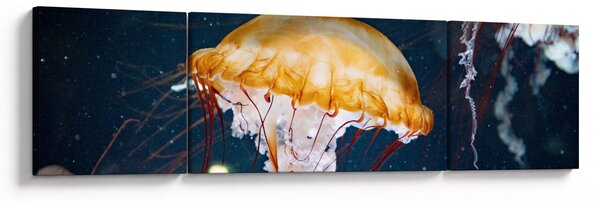 Obraz meduzy (170x50 cm)