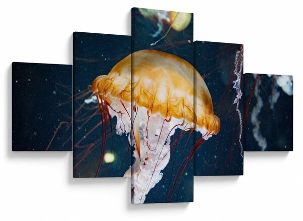 Obraz meduzy (125x70 cm)