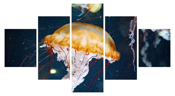 Obraz meduzy (125x70 cm)