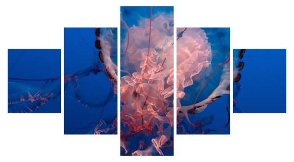 Obraz meduzy (125x70 cm)
